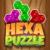 Hexa puzzle : Block blast icon