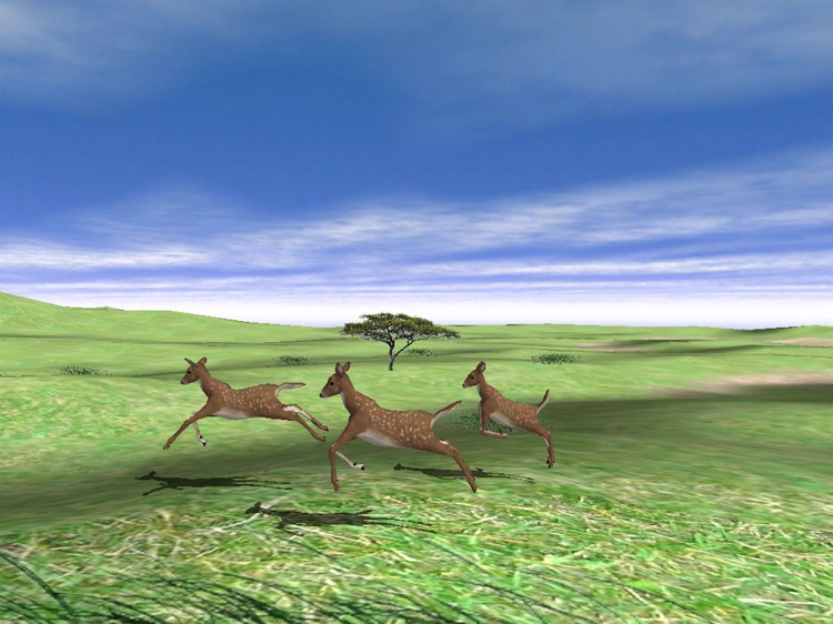 Wildlife Animal Zoo of 3D Pets screenshot-4