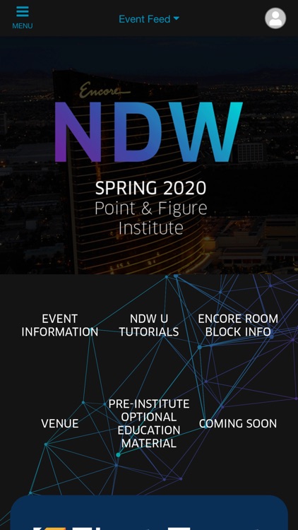 Vegas 2020 PnF Institute
