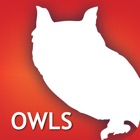 Audubon Owls Guide