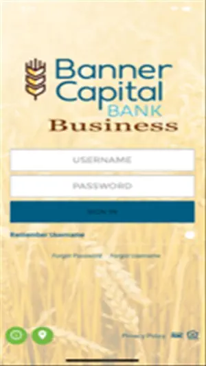 BCB Business Banking screenshot 1