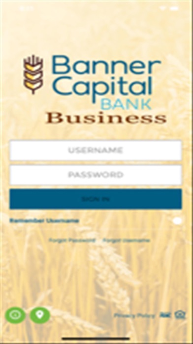 BCB Business Banking Screenshot