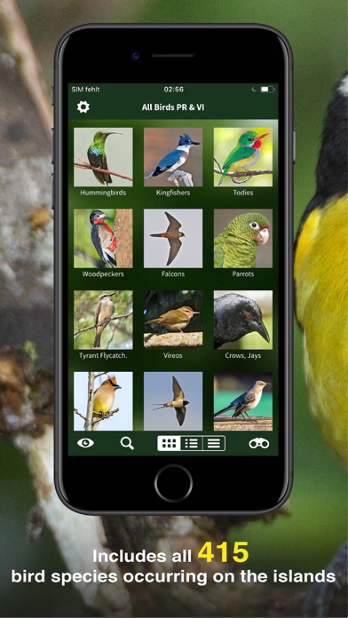 Screenshot #3 pour All Birds PR -> Antigua