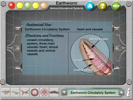 Game screenshot Earthworm Anatomy hack