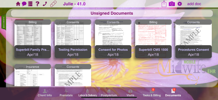 Mobile Midwife EHR screenshot 2