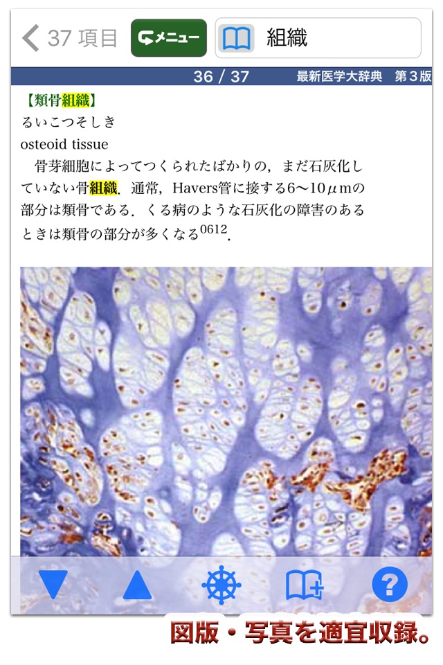 最新医学大辞典第3版【医歯薬出版】(ONESWING) screenshot 2