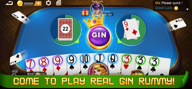 Gin Rummy !!
