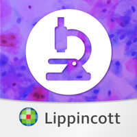 Rubins Pathology USMLE QandA