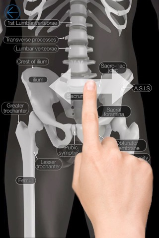 Skeletal Anatomy 3Dのおすすめ画像3