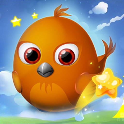 Orange Bird - Use Your Head