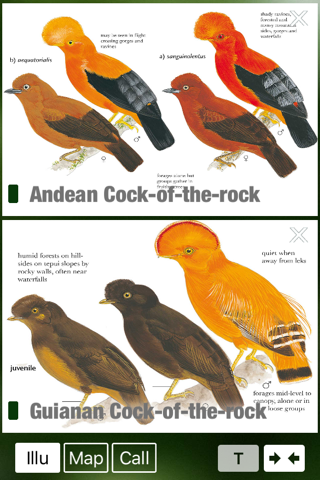 All Birds Colombia field guide screenshot 4