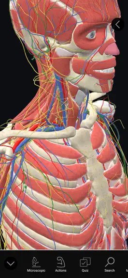 Game screenshot 3D Organon Anatomy Enterprise mod apk
