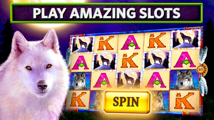 Slots on Tour - Wild HD Casino screenshot-0