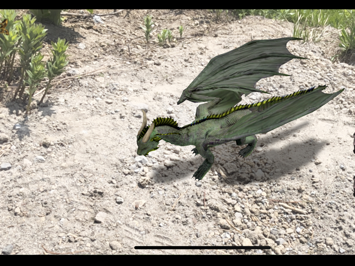 Dragons-Augmented Reality