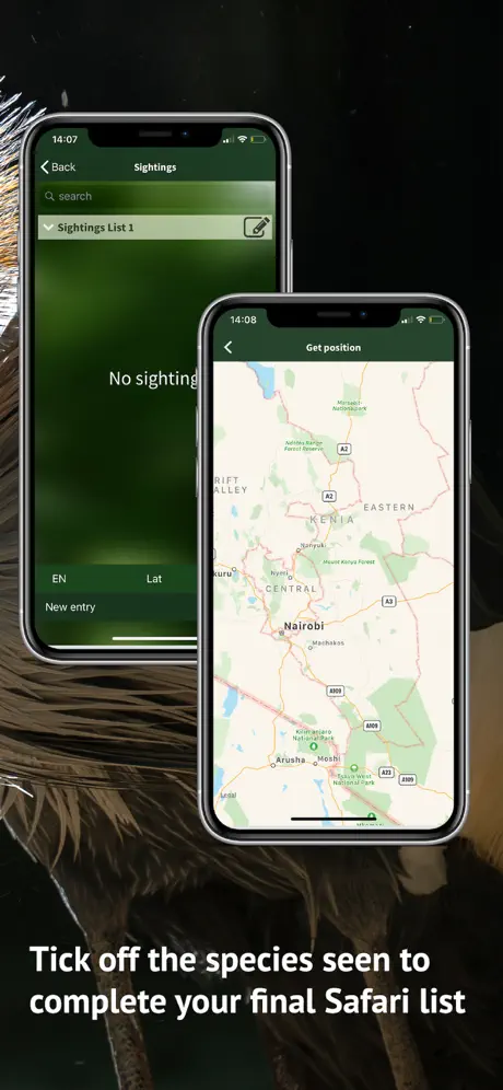 The Golden Safari Guide