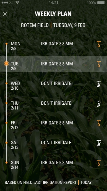 Netmaize screenshot-3