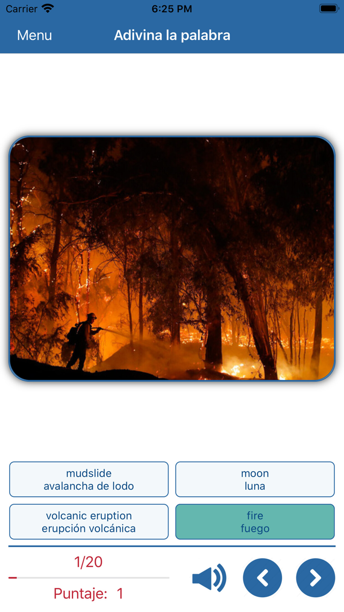 Learn English Vocabulary New