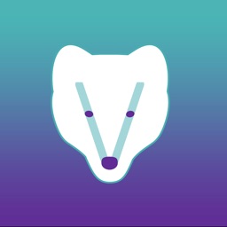 Voolpo