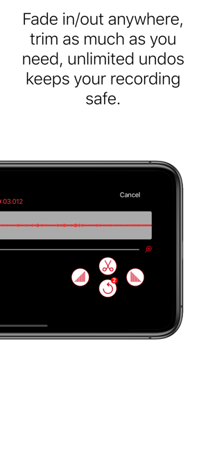 ‎Professional Voice Recorder Screenshot