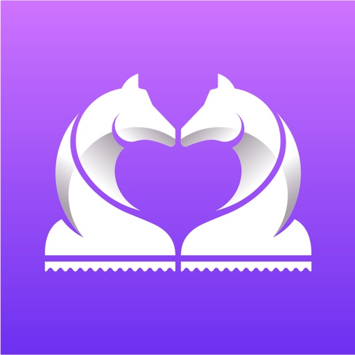 Chekmate: Virtual & IRL Dates