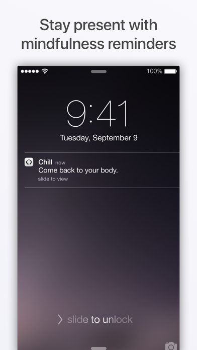 Screenshot #2 pour Chill – Mindfulness Reminders