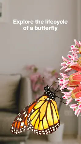 Game screenshot Butterfly Story mod apk