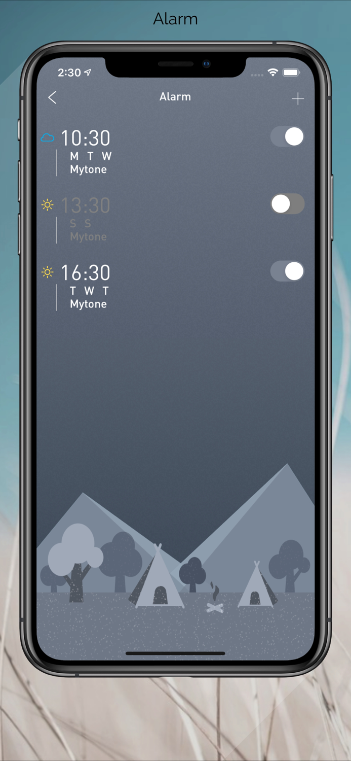 MTCompass  CompassAlarmGPS