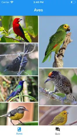 Game screenshot Eco aves - Biologia mod apk