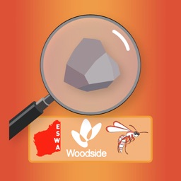 WASP Field Experience