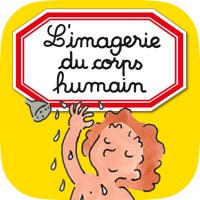 L'imagerie du corps humain ne fonctionne pas? problème ou bug?