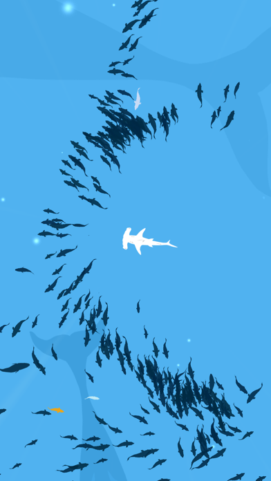 Shoal of fish