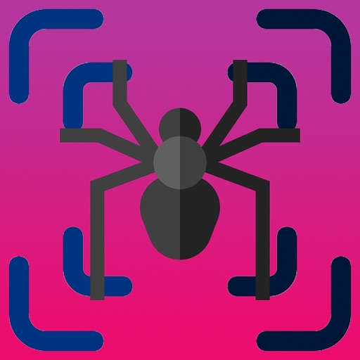 Spider Scanner