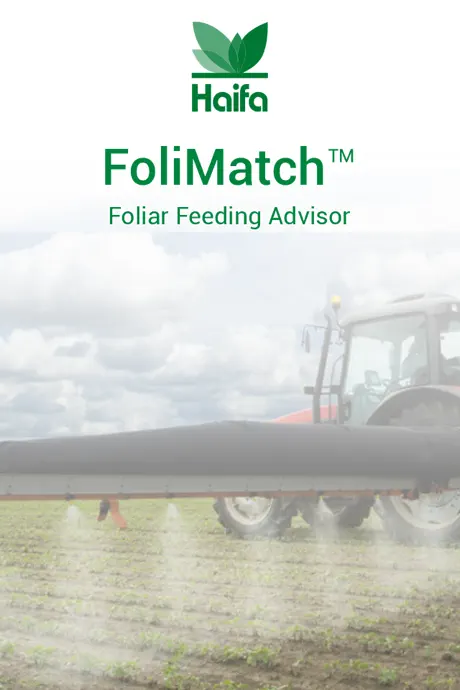 FoliMatch