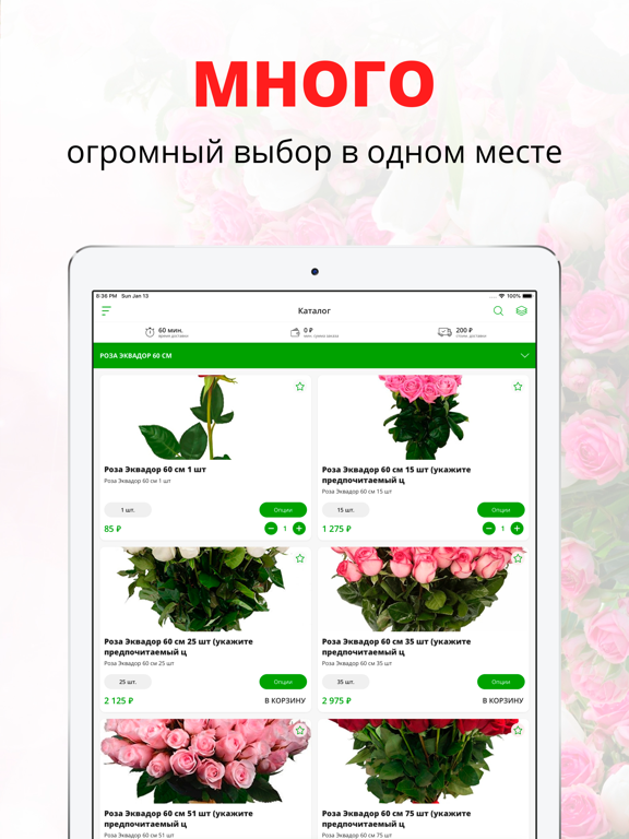 Оранжерея | Благовещенск iPad screenshot 1 - Shopping app
