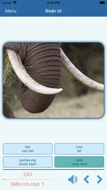 English Speaking Listening Pro screenshot 6 of 7