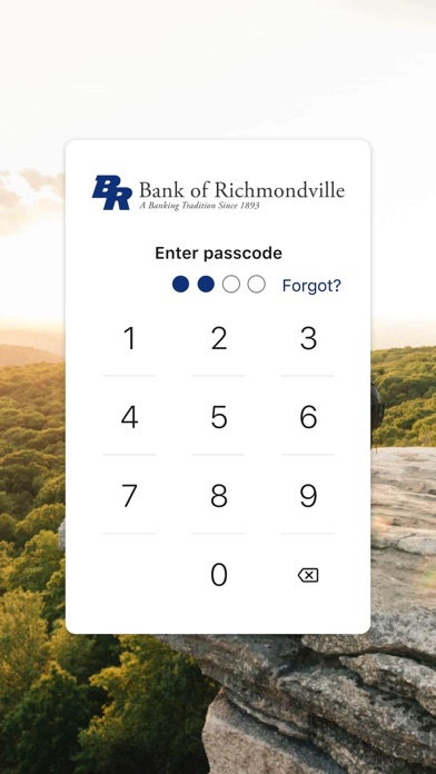 Bank of Richmondville Screenshot