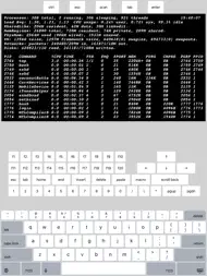 Telnet Lite ipad bilder 1