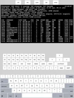 Telnet Lite iPad image 2