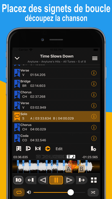 Anytune Pro+ Anytune Pro+