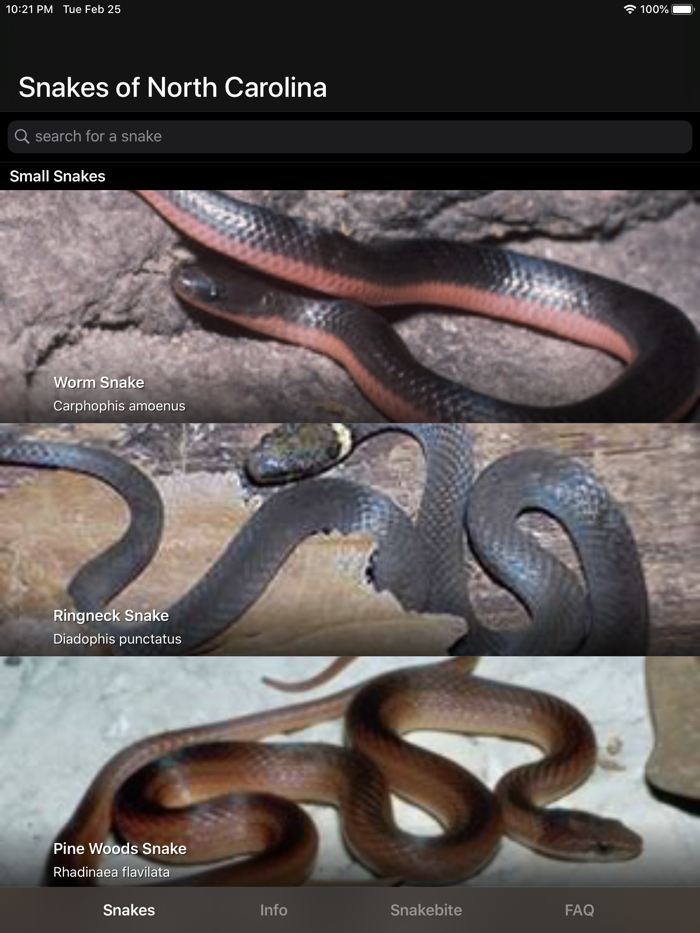 Snakes of North Carolina