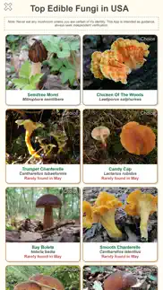 shroomify - mushroom id usa not working image-1