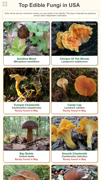 Shroomify - Mushroom ID USA Screenshot