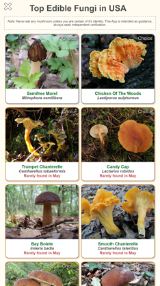 Shroomify - Mushroom ID USA screenshot 1