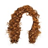 Wigs For Women