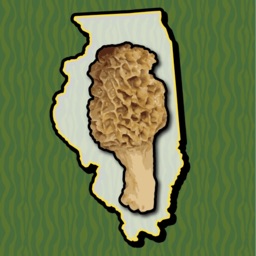 Illinois Mushroom Forager Map!