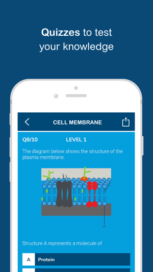 Biology - Biobrain(圖4)-速報App