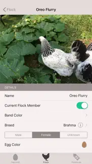 mother hen iphone screenshot 2