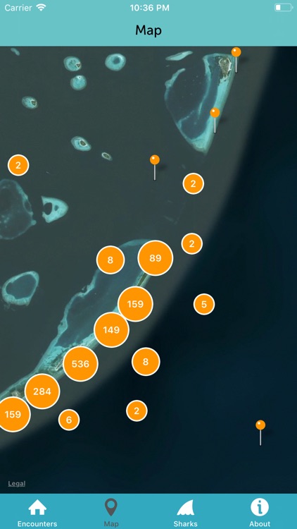 Whale Shark Network Maldives screenshot-7