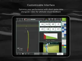 Game screenshot FS Short Game hack