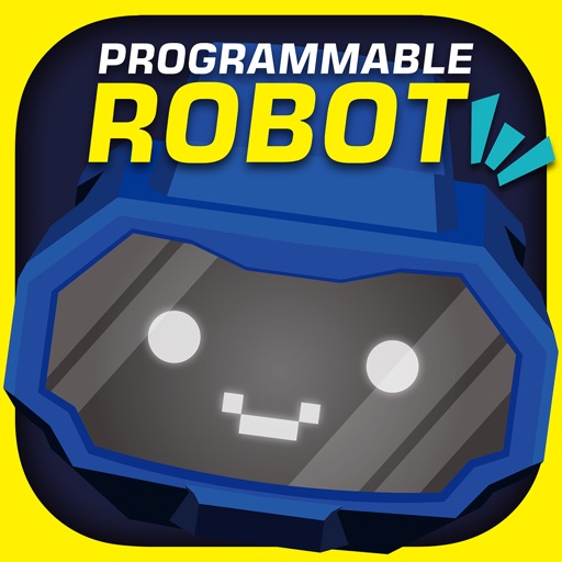 Programmable Robot